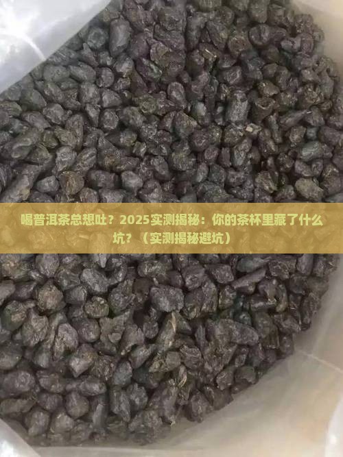 喝普洱茶想吐怎么办