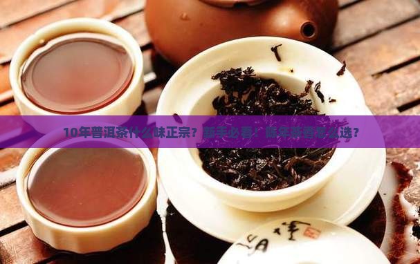 10年普洱茶什么味正宗