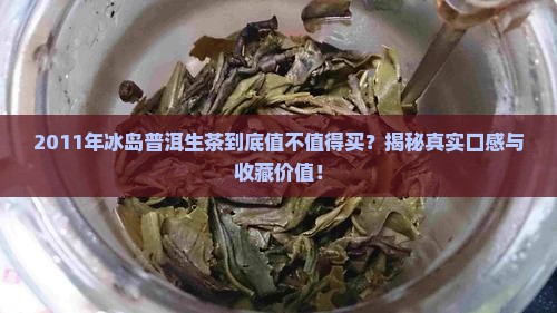 2011年冰岛普洱生茶