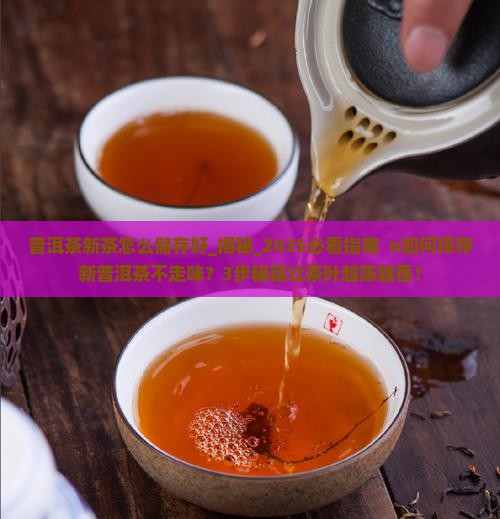 普洱茶新茶怎么储存好