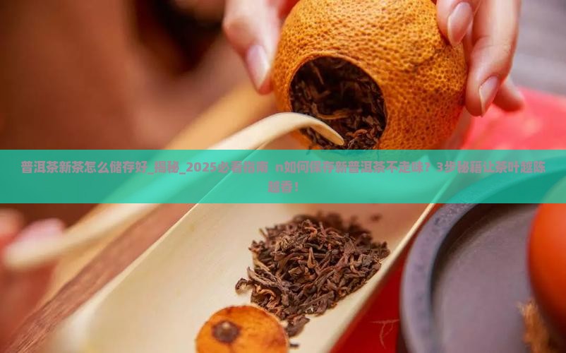 普洱茶新茶怎么储存好