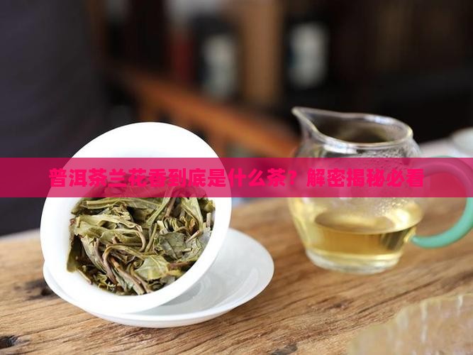 普洱茶兰花香是什么茶