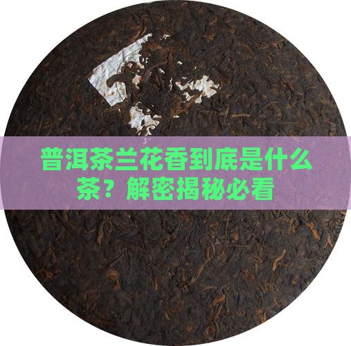 普洱茶兰花香是什么茶