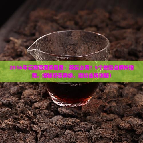 2016年云南普洱茶品质