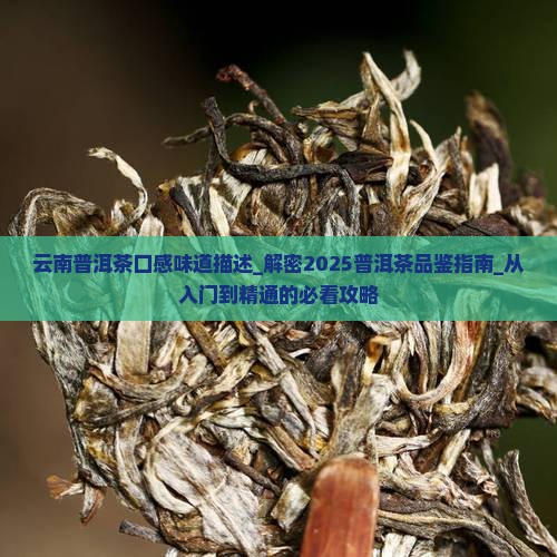 云南普洱茶口感味道描述