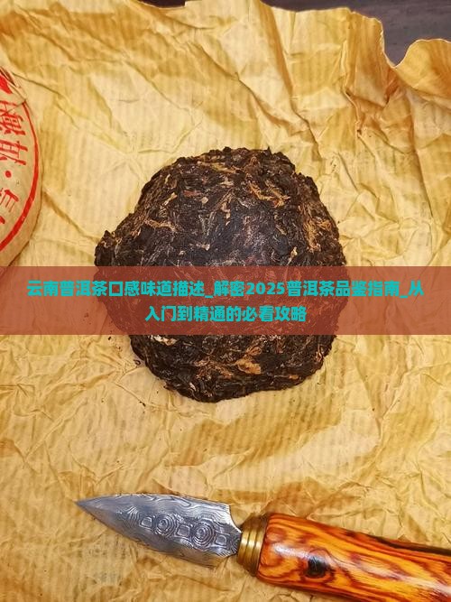 云南普洱茶口感味道描述
