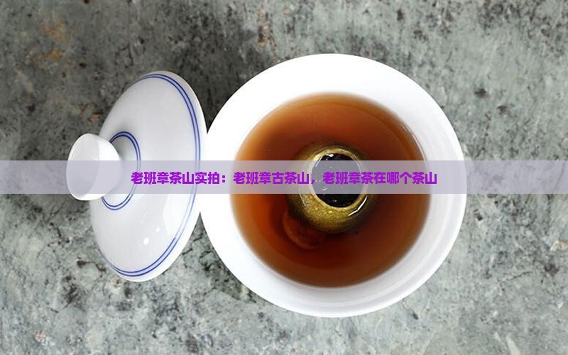 老班章茶山实拍