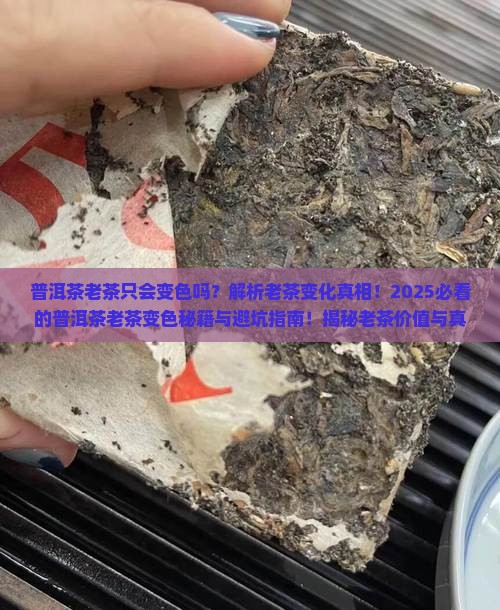 普洱茶老茶只会变色吗为什么
