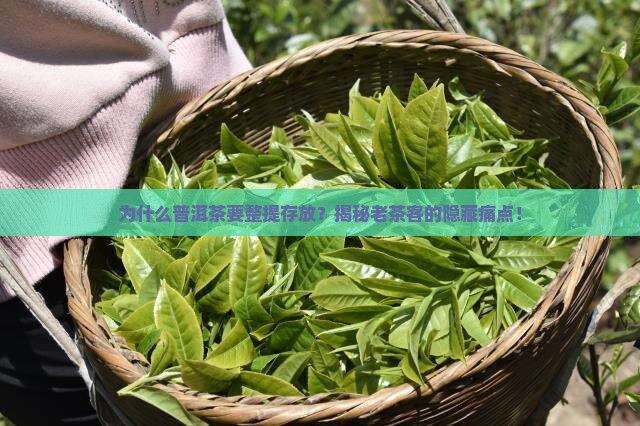 普洱茶为什么要整提存放
