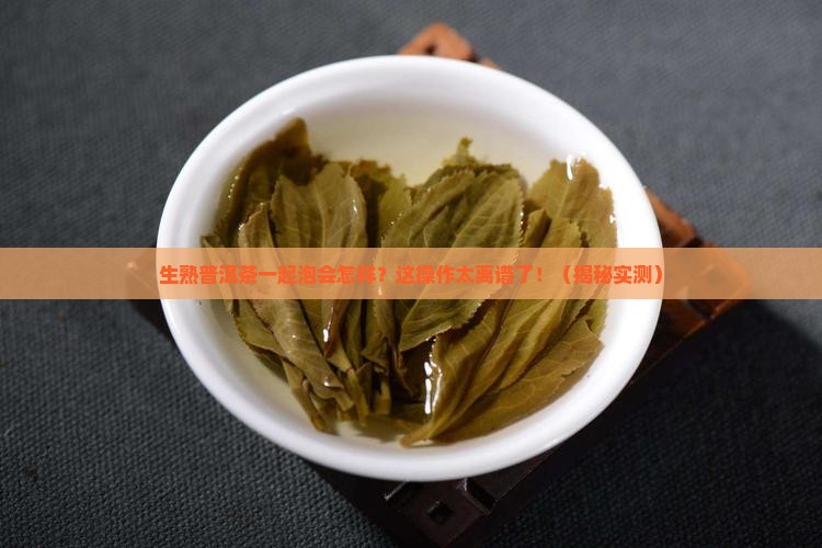 生熟普洱茶同泡
