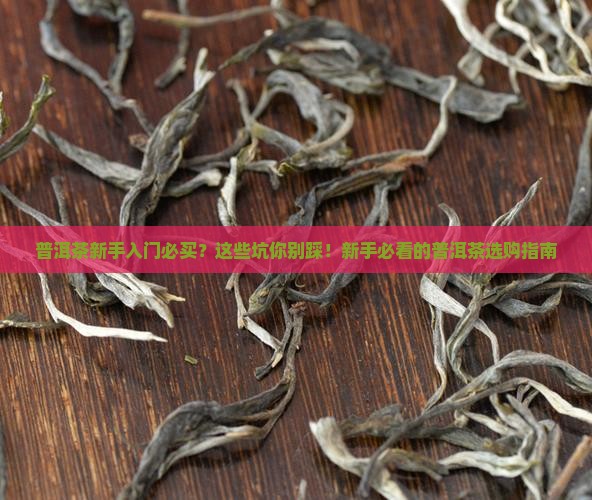普洱茶新手入门必买
