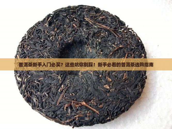 普洱茶新手入门必买