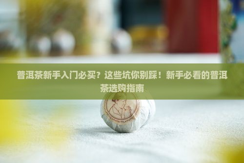 普洱茶新手入门必买