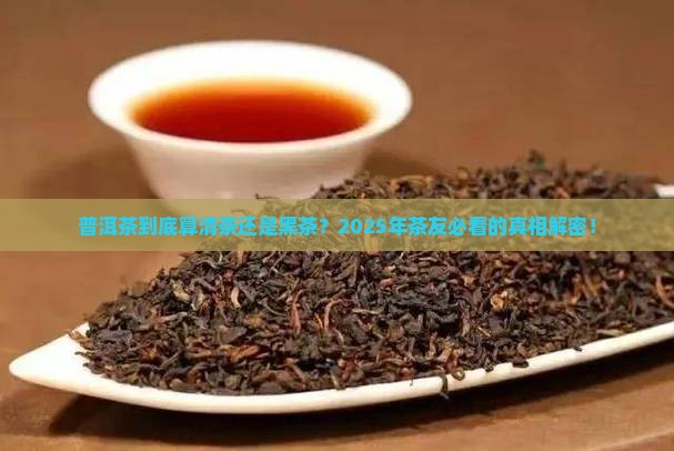普洱茶是清茶还是黑茶