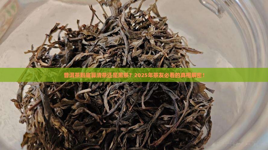 普洱茶是清茶还是黑茶