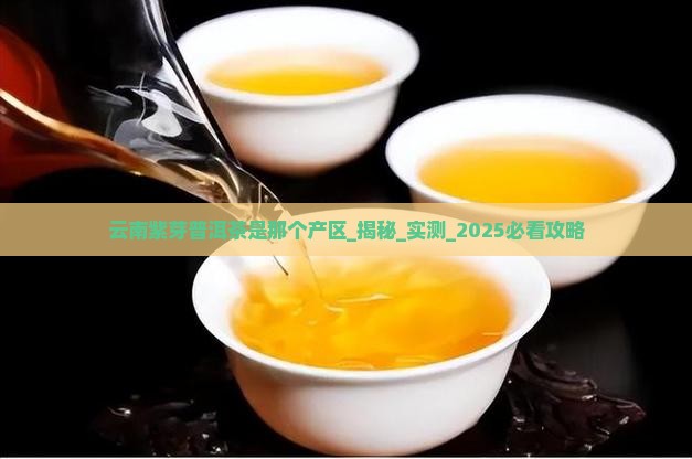 云南紫芽普洱茶是那个产区