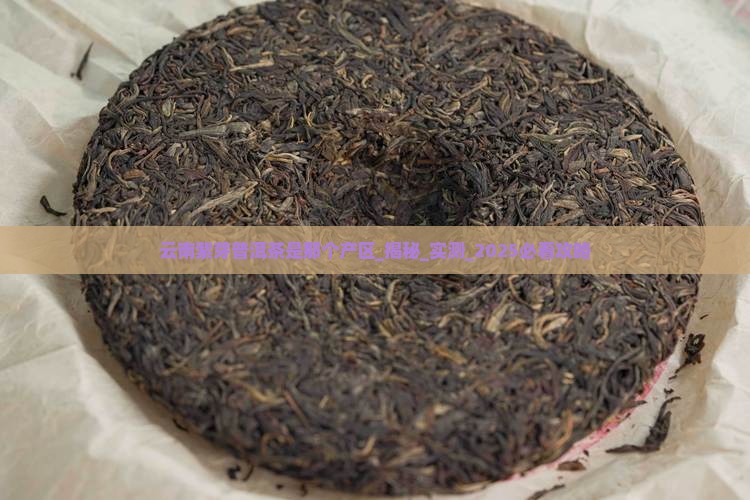 云南紫芽普洱茶是那个产区