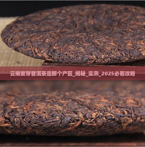 云南紫芽普洱茶是那个产区