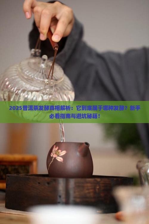 普洱茶是属于发酵的茶吗