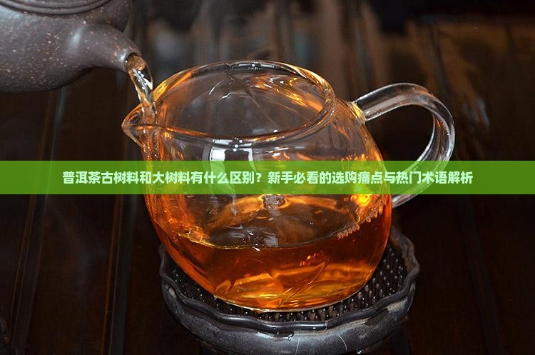 普洱茶古树料和大树料
