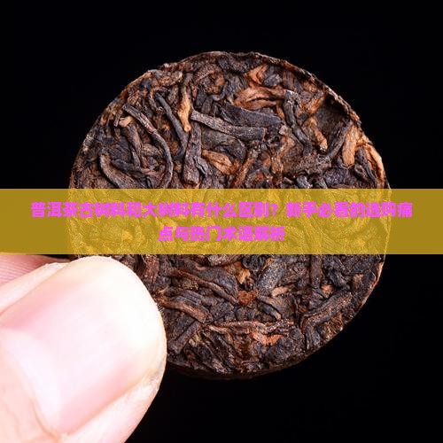 普洱茶古树料和大树料