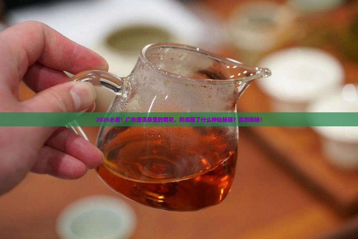 广东普洱茶的菊花用的的哪里的