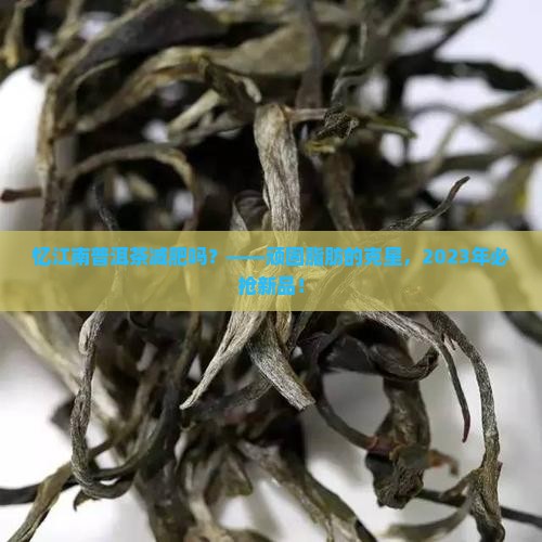 忆江南普洱茶减肥吗