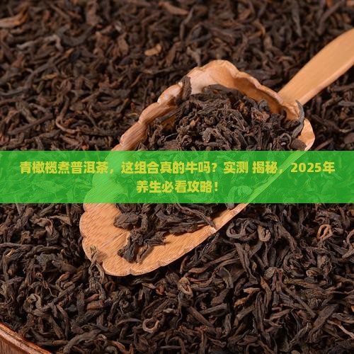 青橄榄煮普洱茶的功效与作用