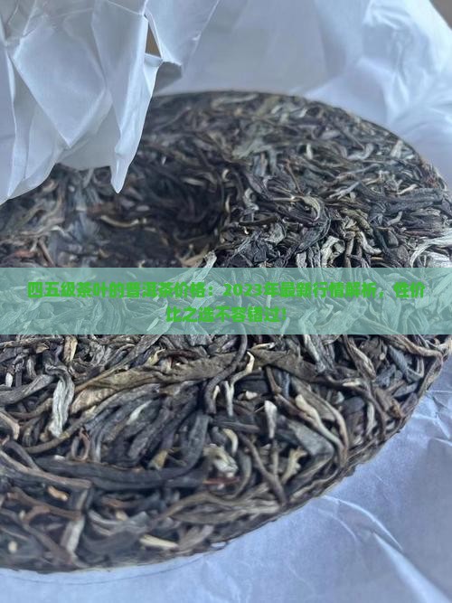四五级茶叶的普洱茶价格