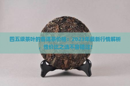 四五级茶叶的普洱茶价格