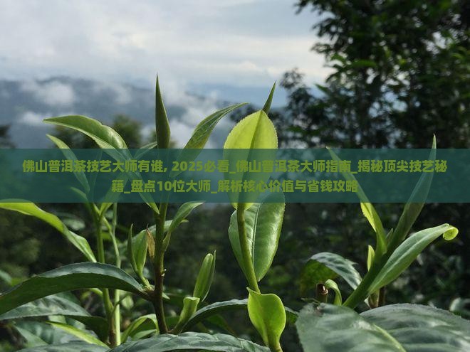 佛山普洱茶技艺大师有谁