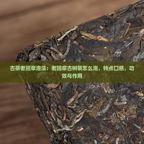 古茶老班章泡法