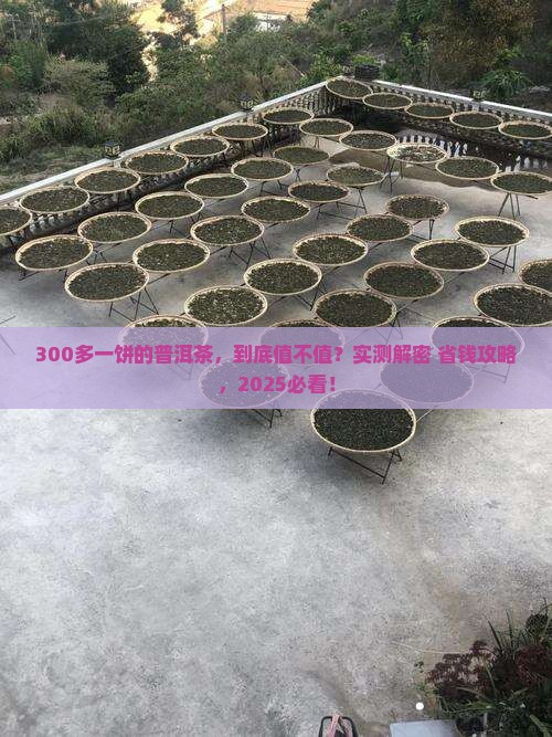 三百多一饼的普洱茶怎么样
