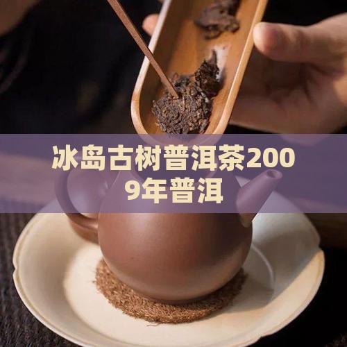 2009年冰岛大树茶