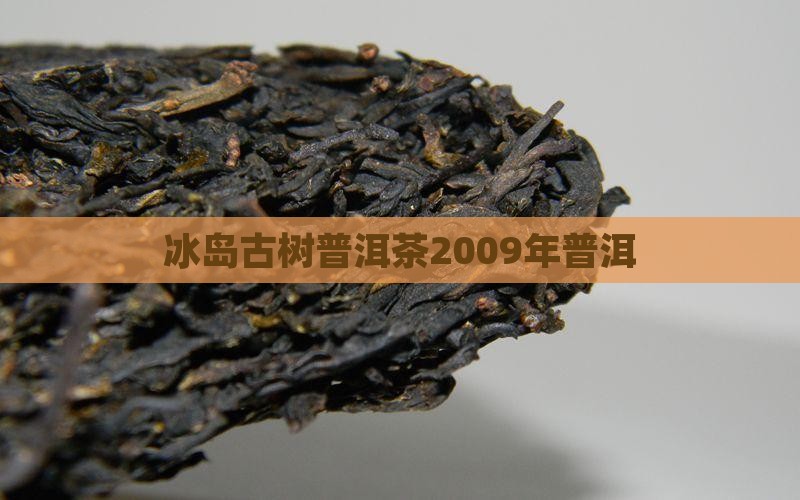 2009年冰岛大树茶