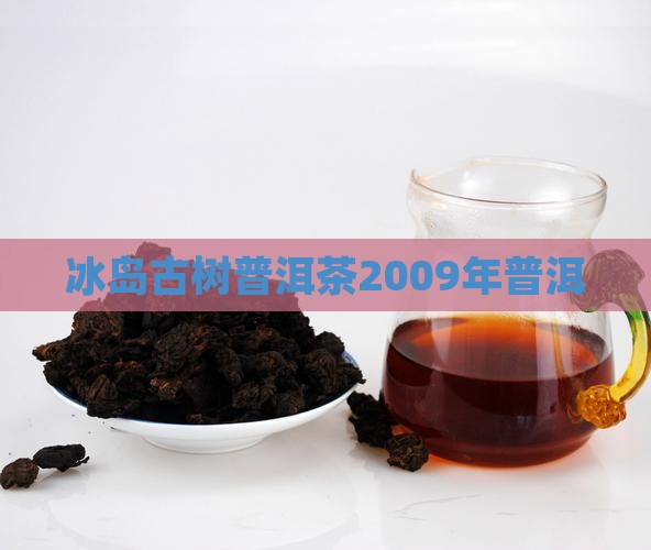 2009年冰岛大树茶