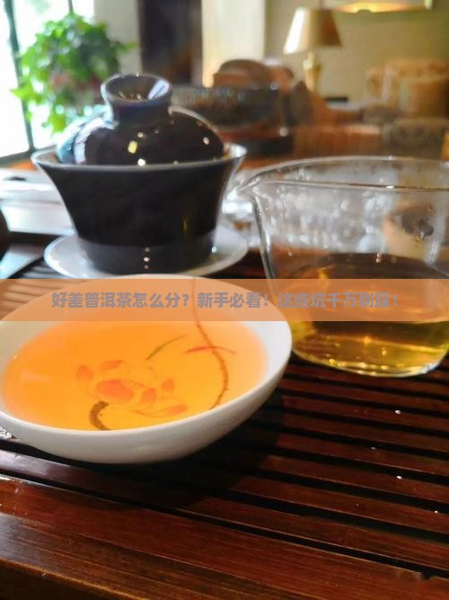 好差普洱茶区分