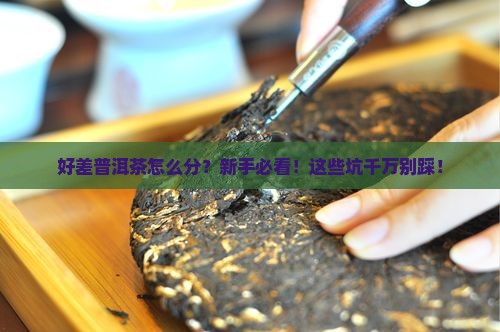 好差普洱茶区分