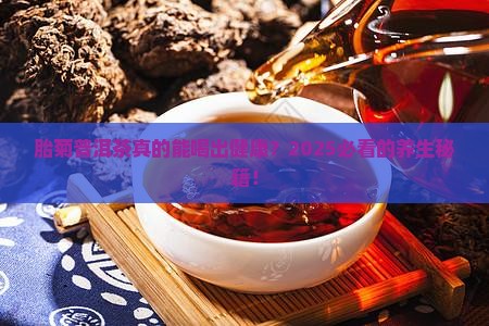 胎菊普洱茶功效与作用