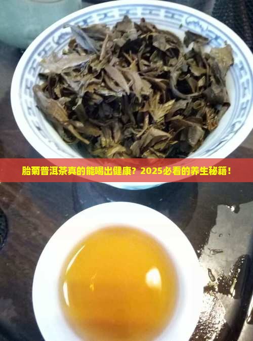 胎菊普洱茶功效与作用