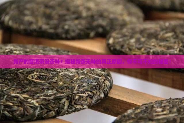 新产的普洱茶没茶味