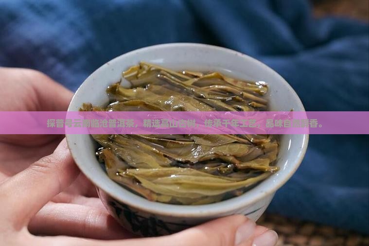 探普号云南临沧普洱茶