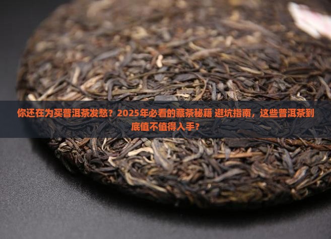 推荐几款适合购买藏的普洱茶