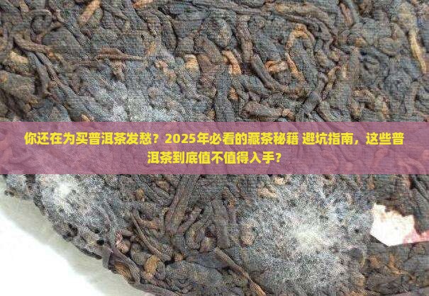 推荐几款适合购买藏的普洱茶