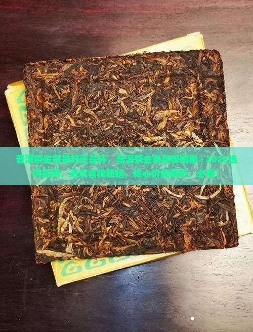 普洱茶金毫是好还是坏