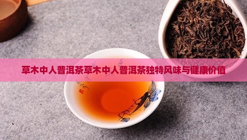 草木中人普洱茶 草木中人普洱茶