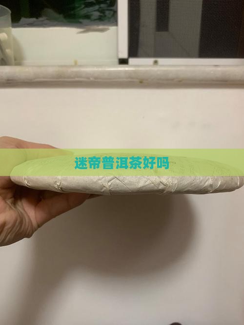 迷帝普洱茶好吗