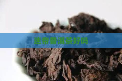 迷帝普洱茶好吗