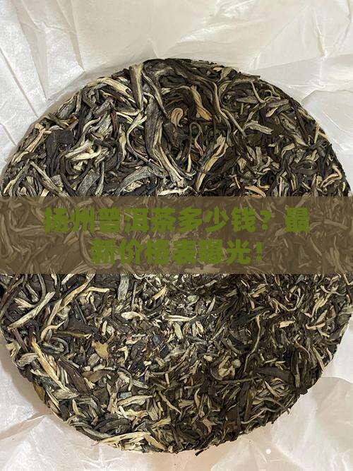 扬州普洱茶多少钱