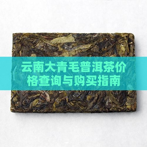 云南大青毛普洱茶